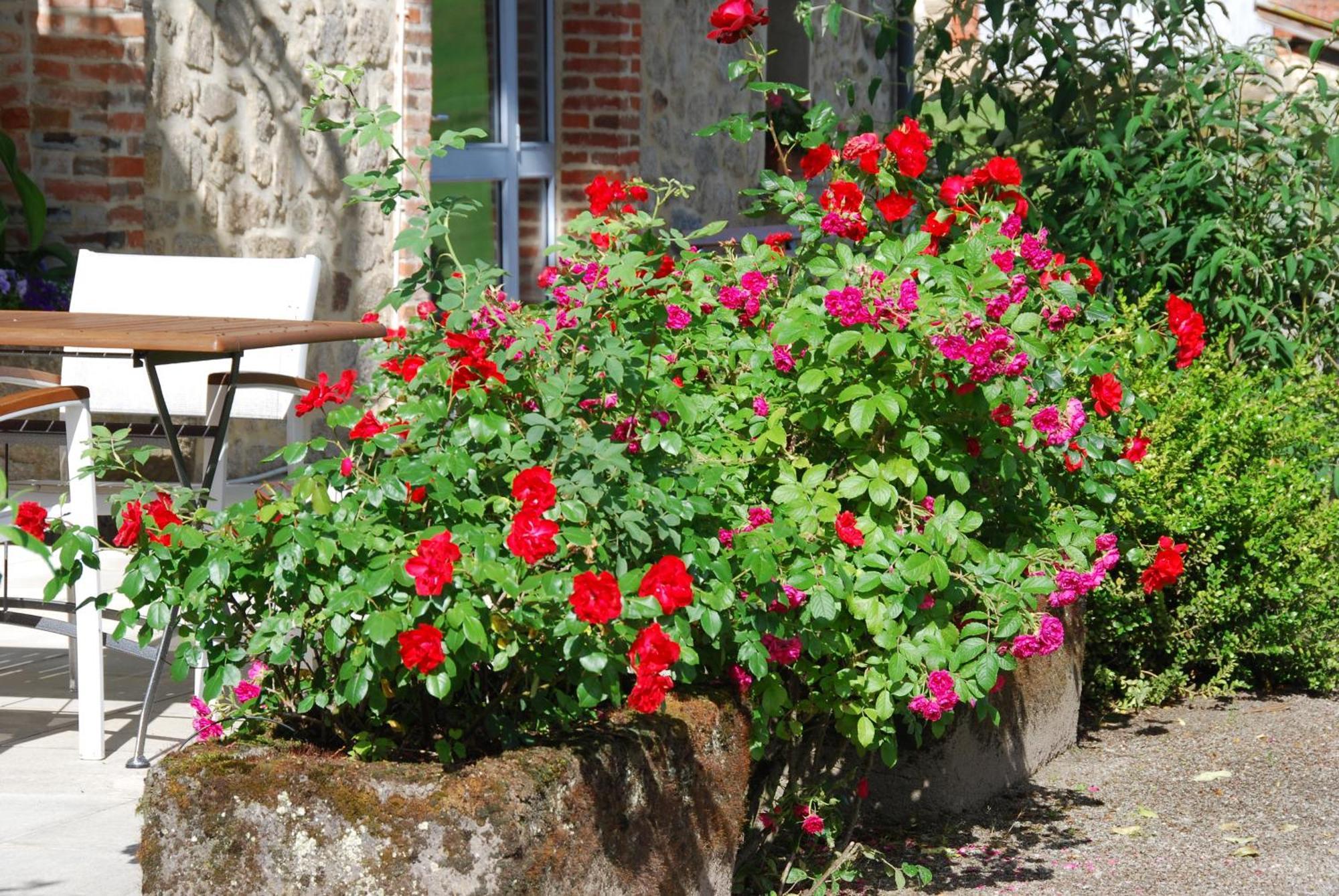 Les Maisons De Concasty Boisset  ห้อง รูปภาพ