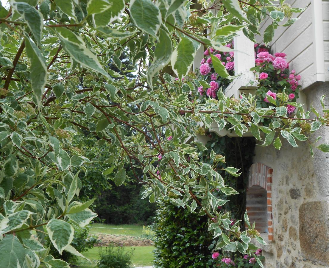 Les Maisons De Concasty Boisset  ภายนอก รูปภาพ
